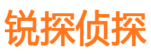 武定市私家侦探公司